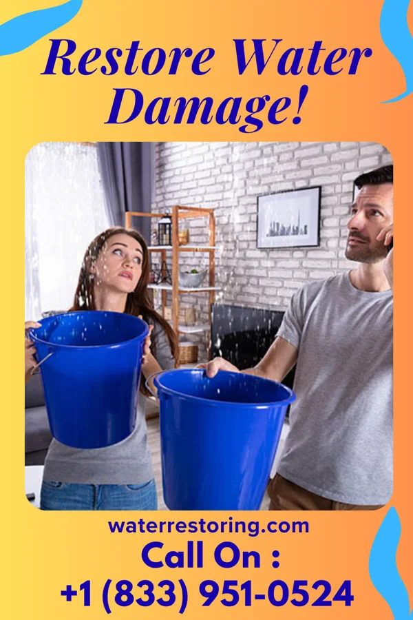 water restoration Coastal Sewage Cleanup Experts Williamson